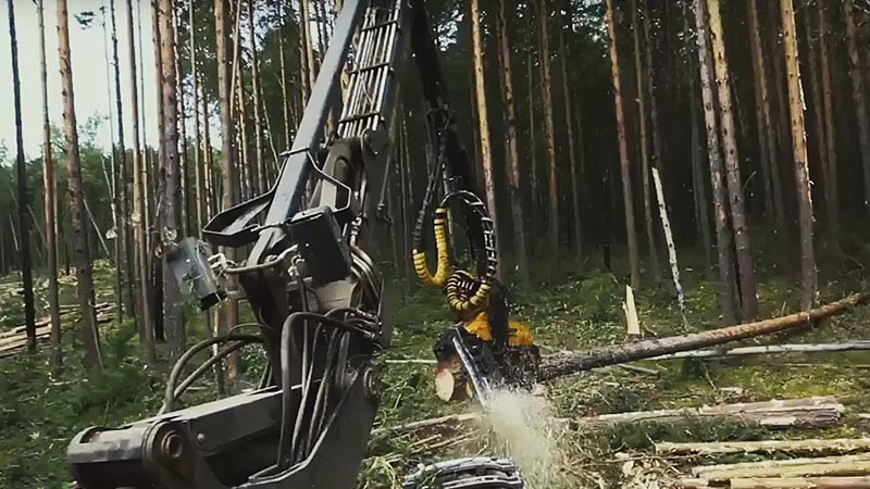 Ассортимент ПИЛОМАТЕРИАЛОВ Ассортимент ПИЛОМАТЕРИАЛОВ